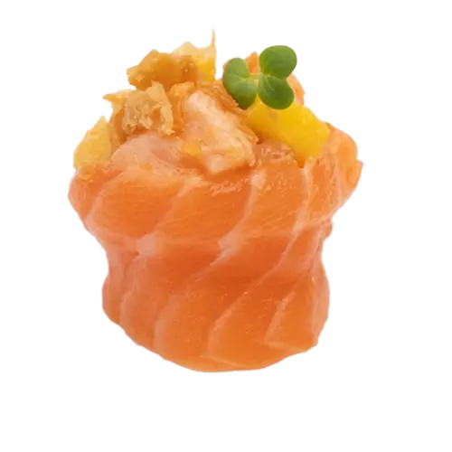 [33C] [33C] Mango salmon 